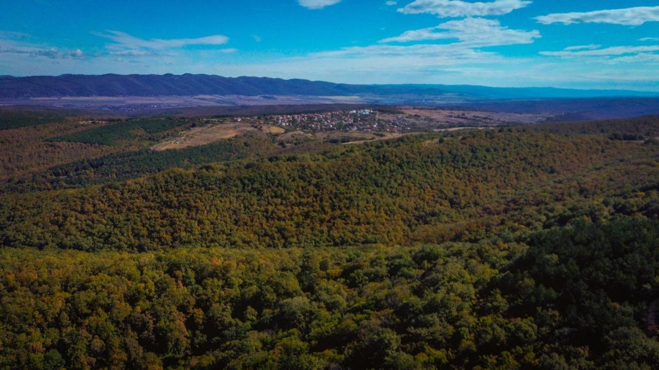 Рибарник Forest Мagic Topolitsa Екстериор снимка